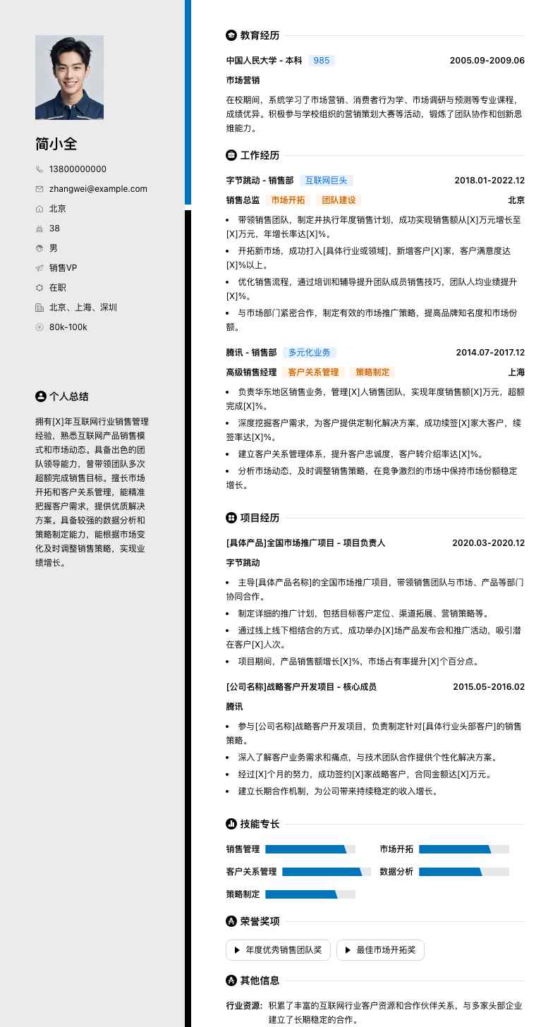 销售vp简历模板