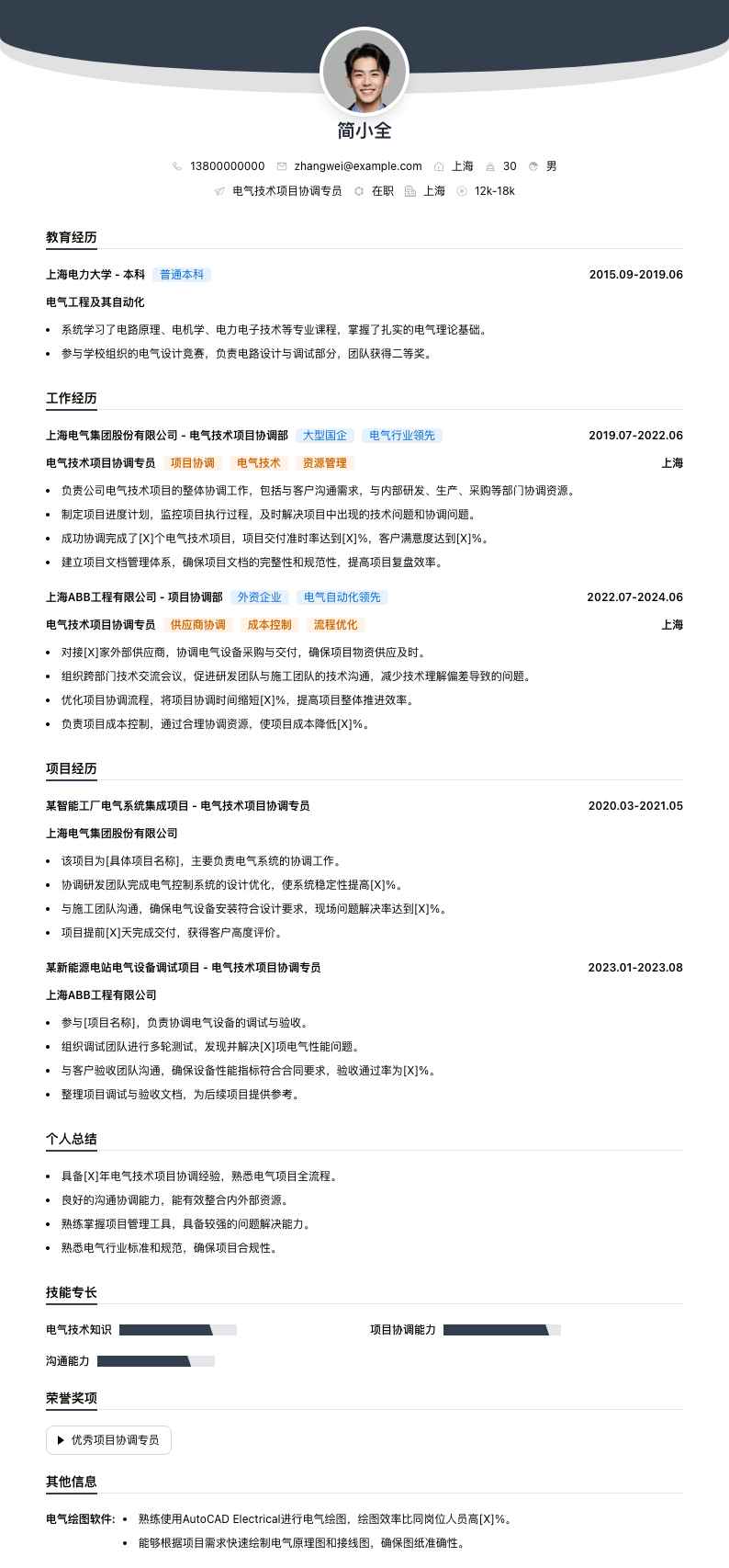 电气技术项目协调专员简历模板