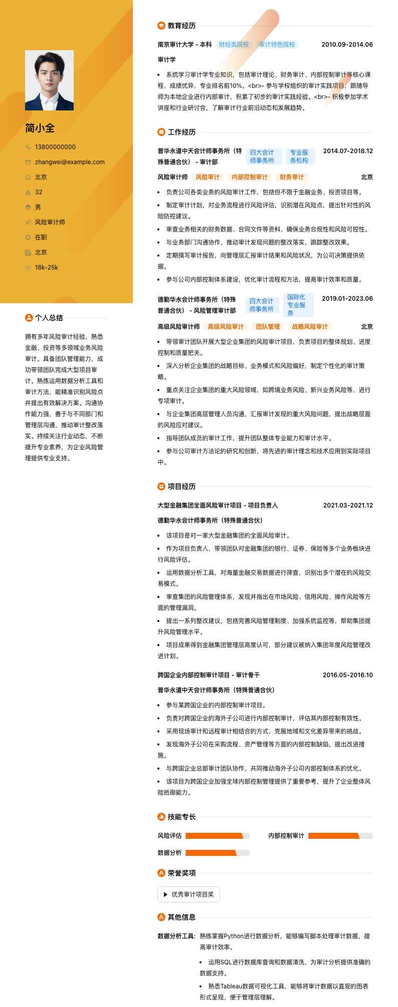 风险审计师简历模板