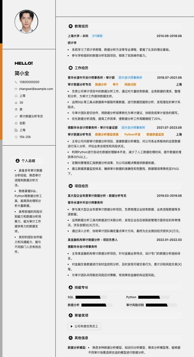 审计数据分析专员简历模板