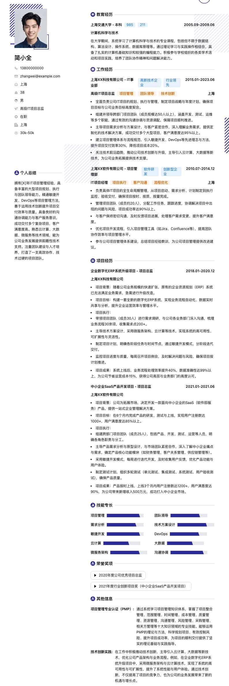 高级IT项目总监简历模板
