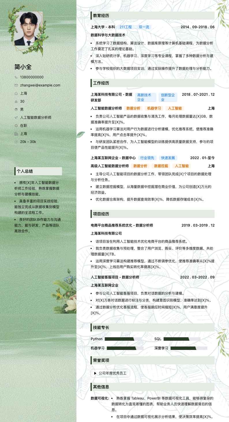 人工智能数据分析师简历模板