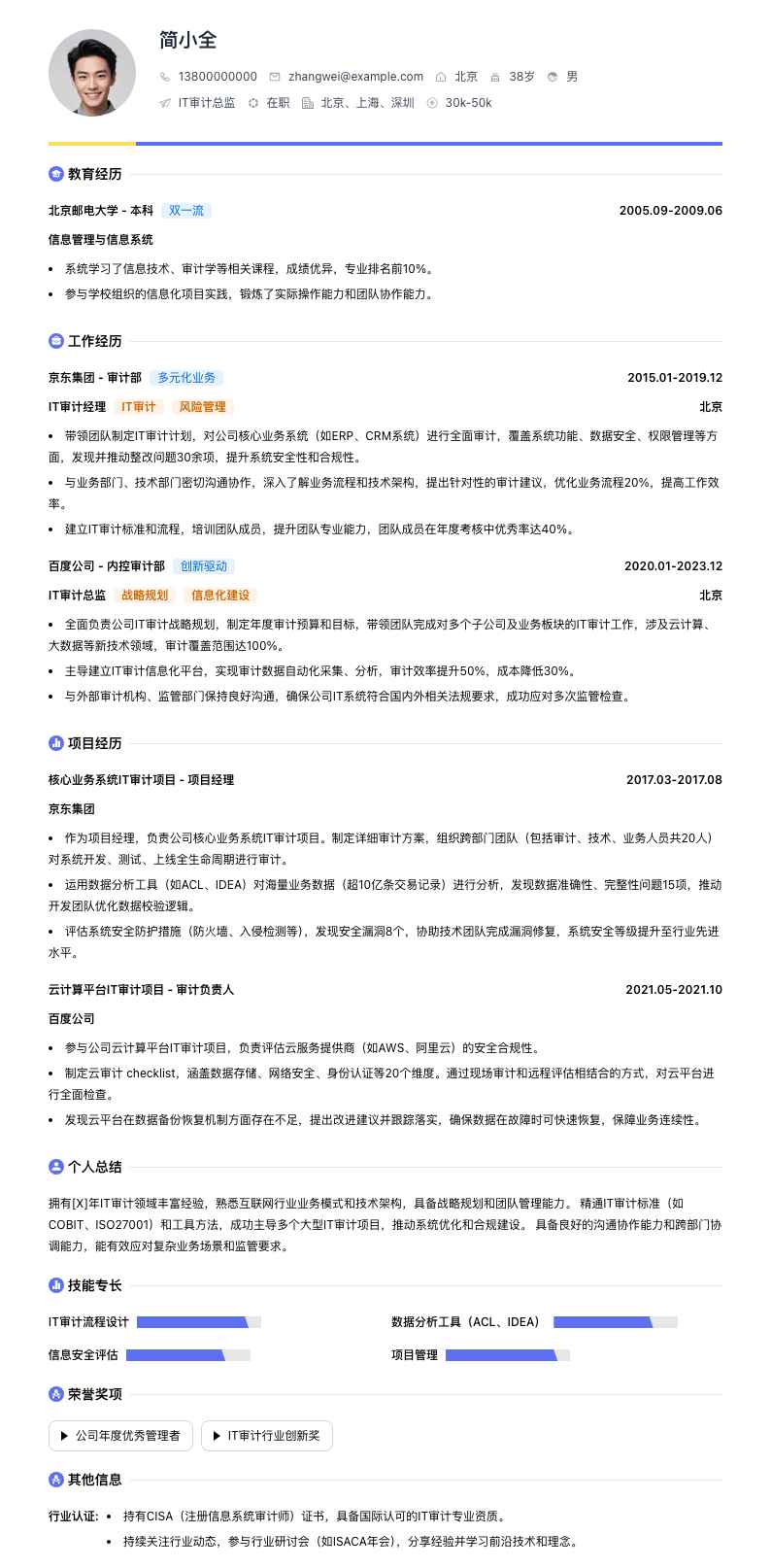 it审计总监简历模板