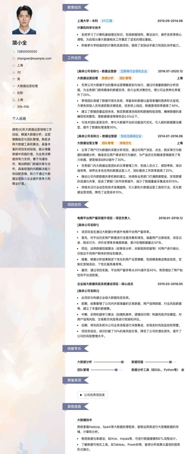 大数据运营经理简历模板