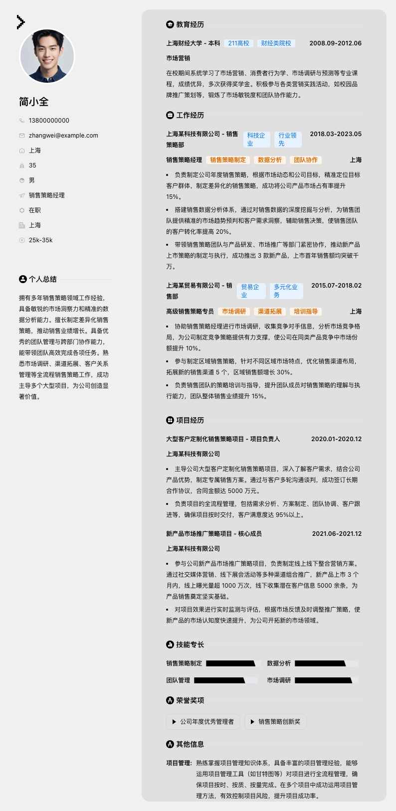 销售策略经理简历模板