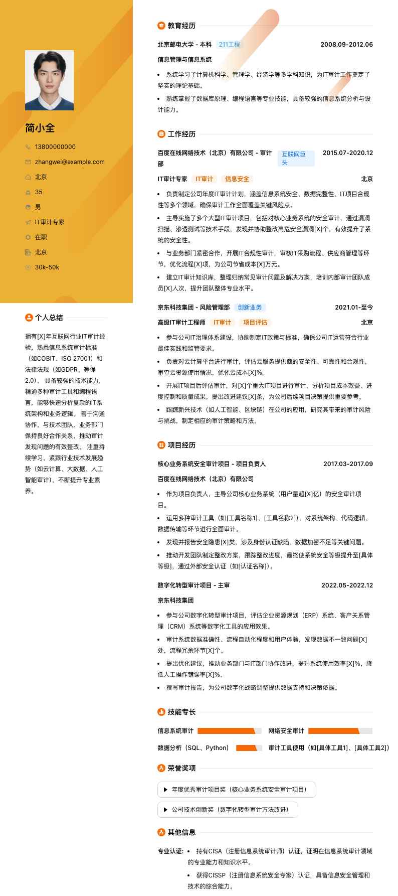 it审计专家简历模板