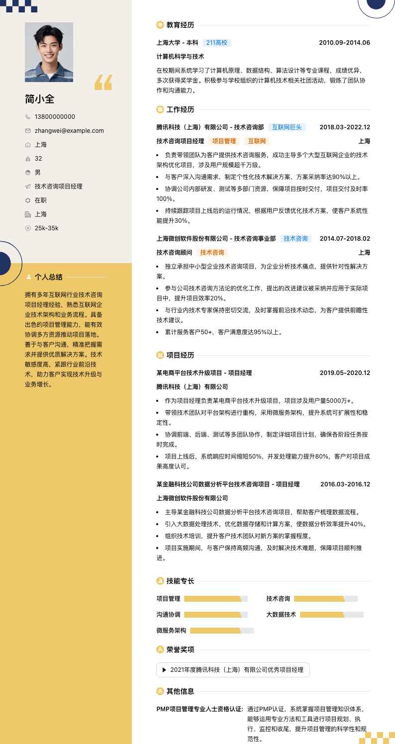 技术咨询项目经理简历模板