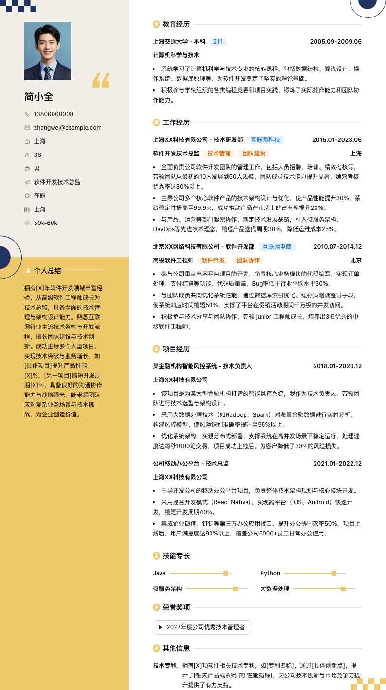 软件开发技术总监简历模板